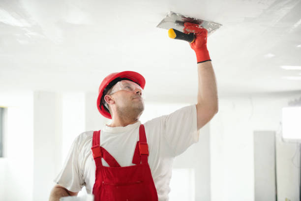 Best Drywall Removal and Disposal  in USA